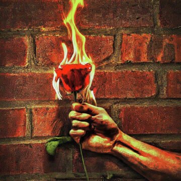 Hand holding a burning red rose.